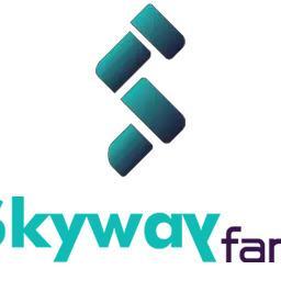 Skyway Fares