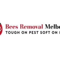 BeesRemoval Melbourne