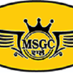 Msgcelectricals India