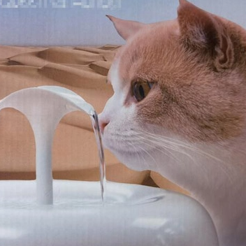 Pawoofcat Waterfountain