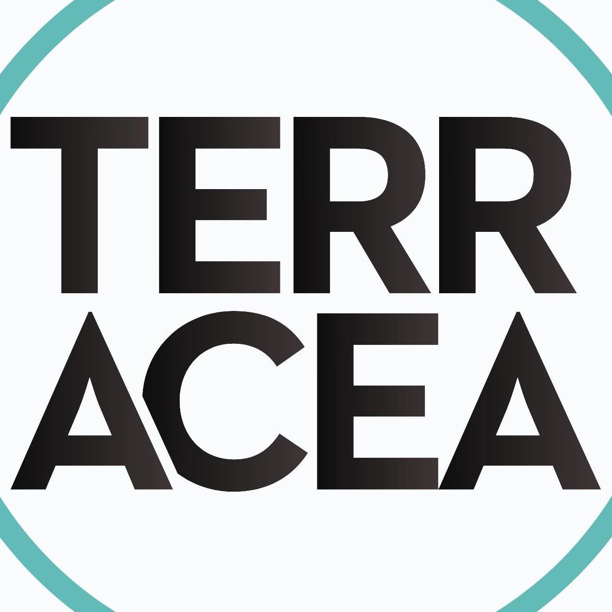 TERRACEA  INC