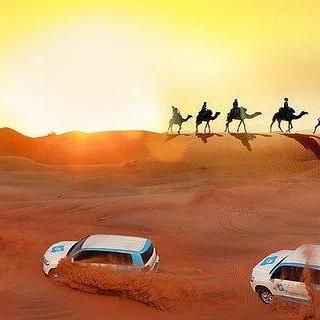 Arabian Tour