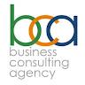 Business Consulting Agency