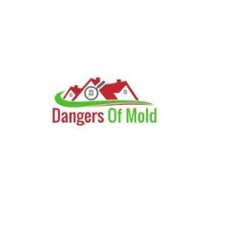 Dangers  Of Mold