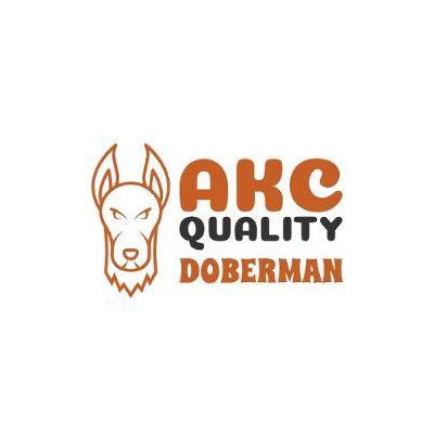 AKCquality Doberman