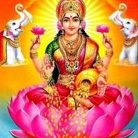 avantika8956