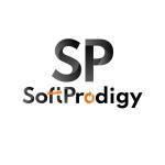 SoftProdigy System  Solutions