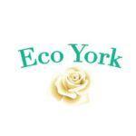 Eco  York