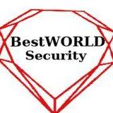 BestWORLD Security  Services Inc