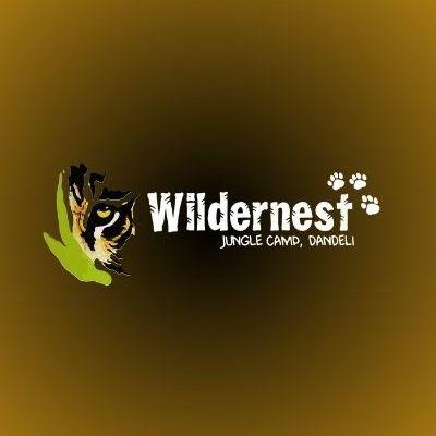 wildernestdandeli