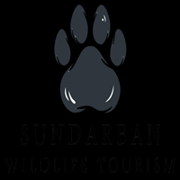 Sundarban  Wildlife Tourism