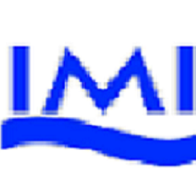 Diploma In Nautical Science By International Maritime Institute