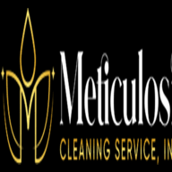 Meticulosity Cleaning