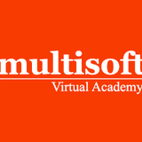 Multisoft Virtual Academy