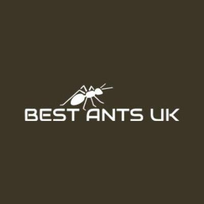 bestantsuk