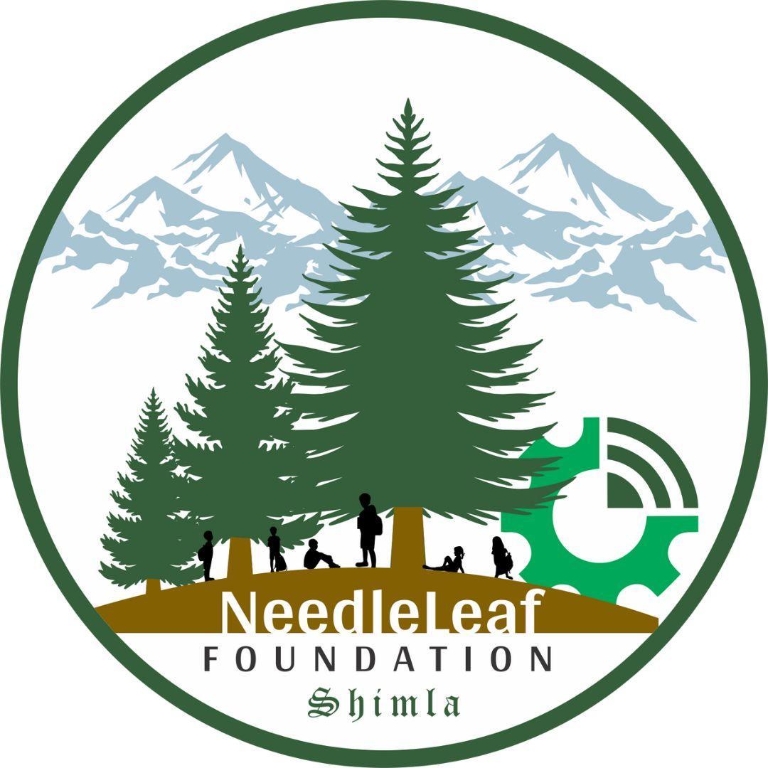 Needleleaf_Foundation