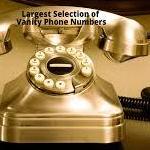 Goldenphone Numbers