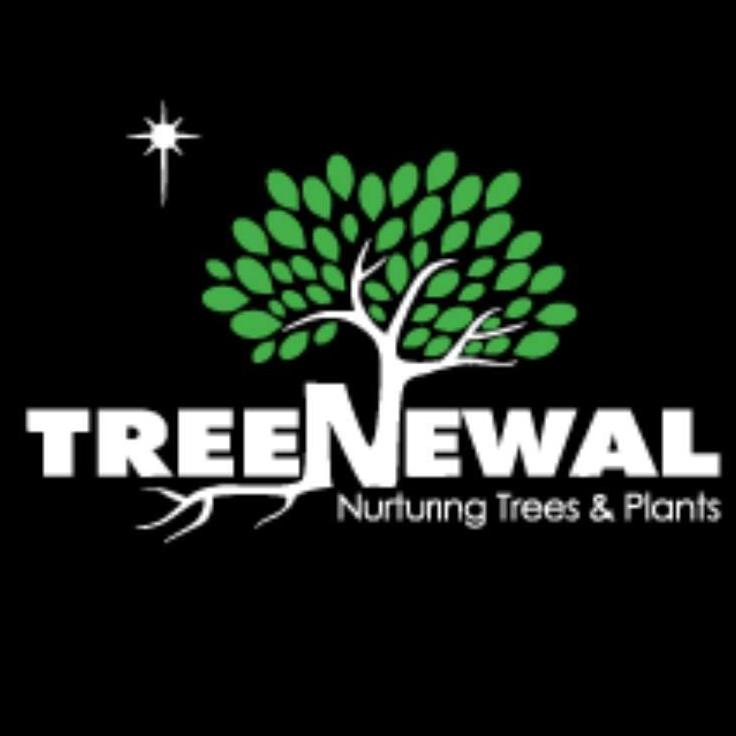 treenewaltx