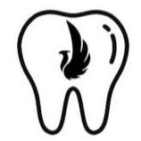 rootcanal