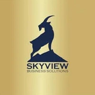 businesssolutionsskyview