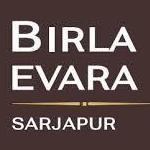 Birla Evara