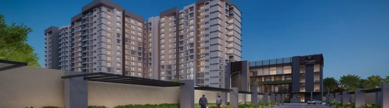 Prestige Evergreen
