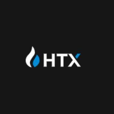 HTX Token Price  Prediction