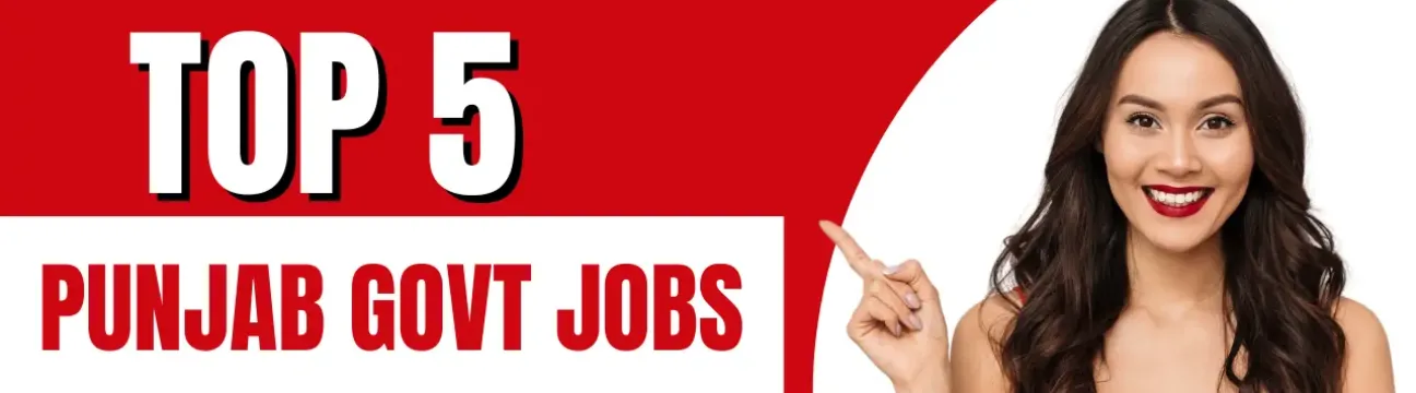 The Punjab Jobs