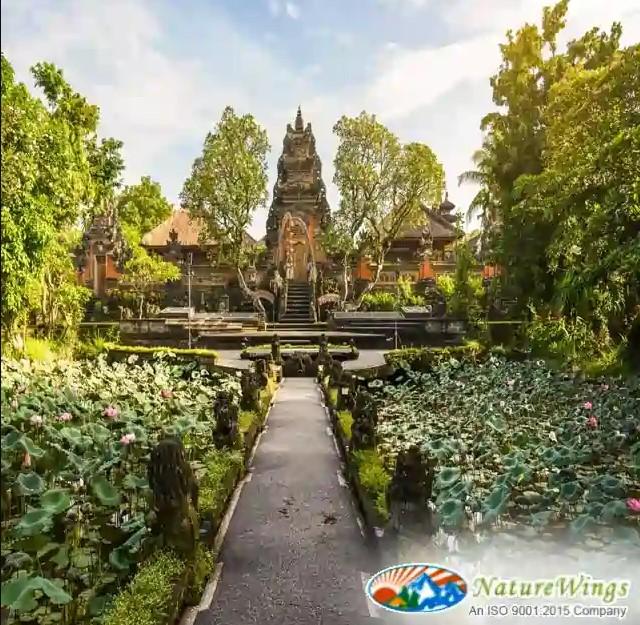 Bali Packages from Kolkata