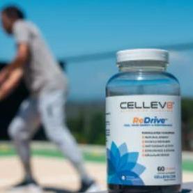 Cellev8 Gummies