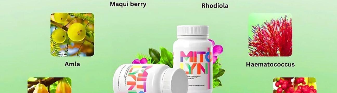 Mitollyn Mitollyn